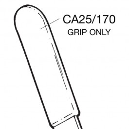 CA25-170
