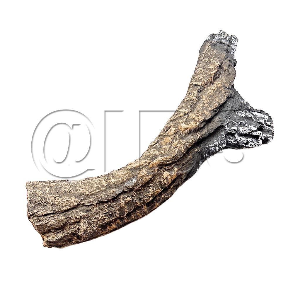 MON-SRV2393-711