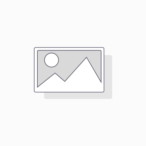 505382