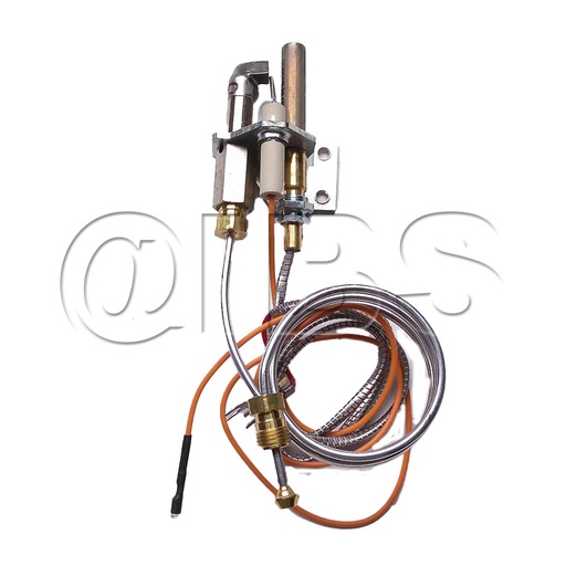 [MON-SRV4021-729] SRV4021-729