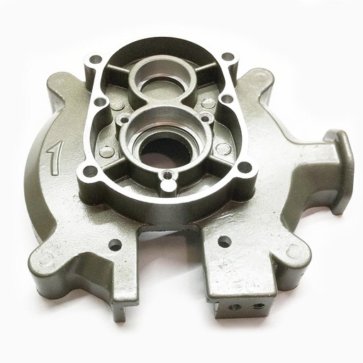 [BNR-BNCEP1-77] BNCEP1-77