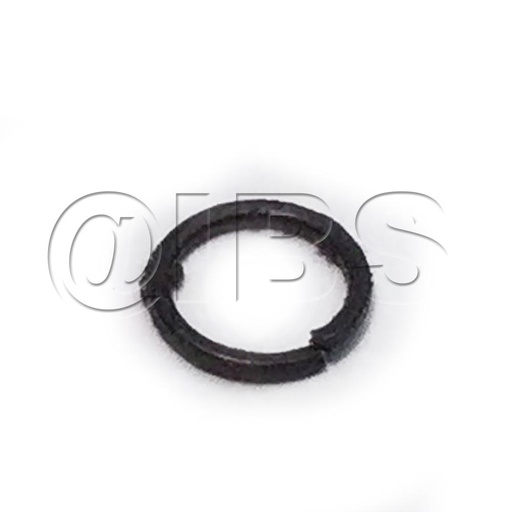 [BNR-BNCEP-31] BNCEP-31