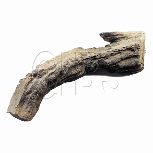 [MON-20003461K] MON-20003461K