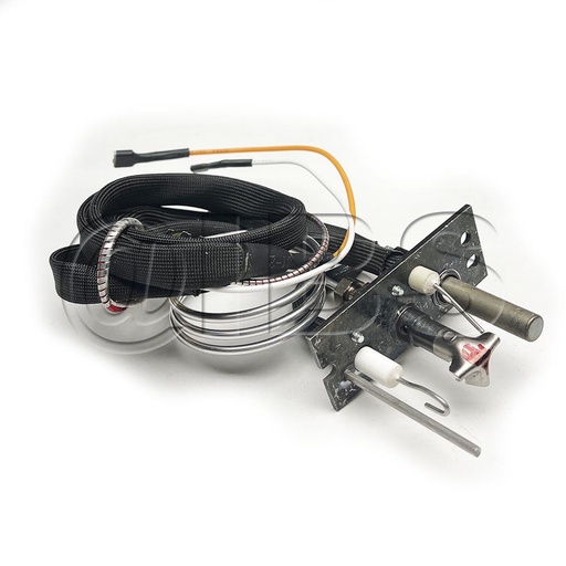 [MON-20308982] 20308982