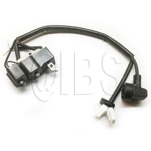 [NRT-00510106956] 00510106956