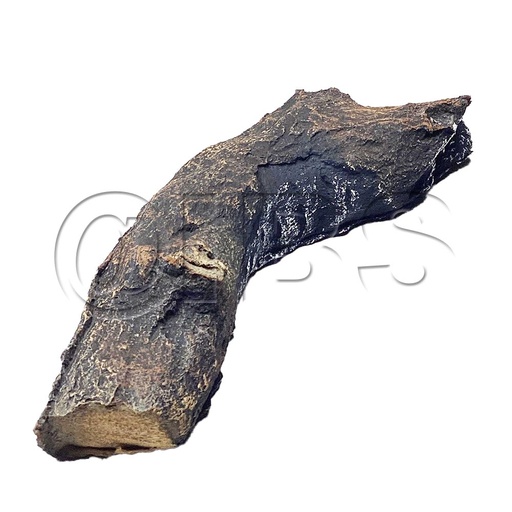 [MON-SRV4031-274] SRV4031-274