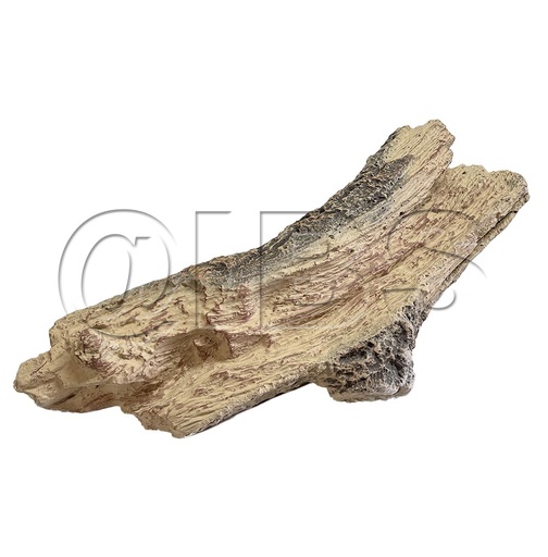 [MON-SRV2170-722] MON-SRV2170-722