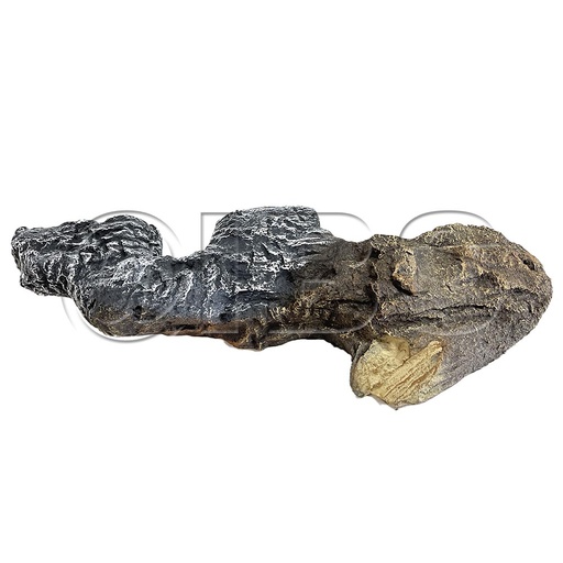 [MON-SRV4031-273] SRV4031-273