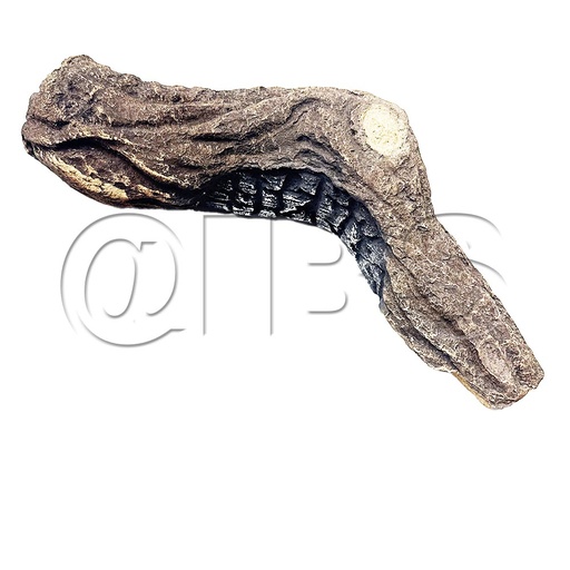 [MON-SRV2382-074] SRV2382-074